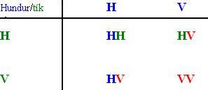 H H= heilbrigð gen,  V V = meingenin sem bera sjúkdóminn, VV = veikur einstaklingur