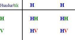 Tafla 2: H H = heilbrigð gen,  V  = meingenið sem ber sjúkdóminn